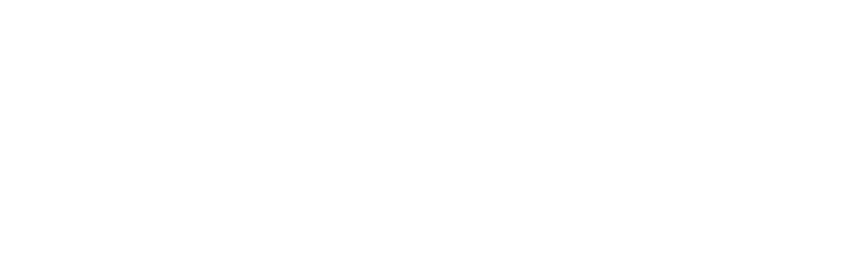 logo smetch